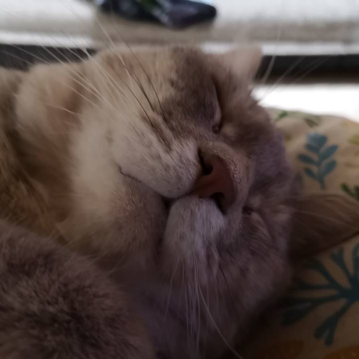 0129ef06 682f 4bac a749 ba1f020ac6cb 1566484376723