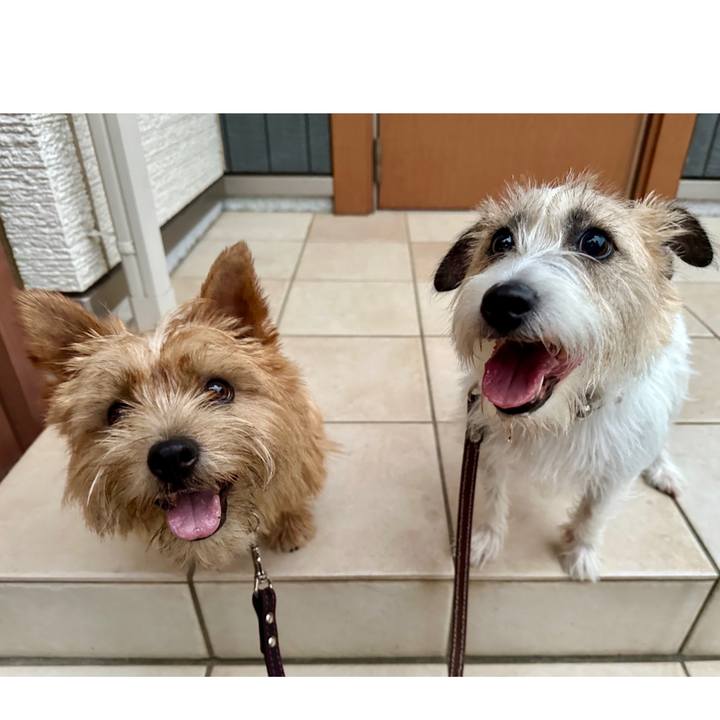 0129f1a5 d5be 47fe b126 febaac34a10f 1752254083884