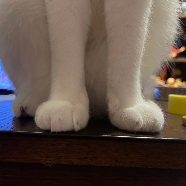 0129fccf 4735 4a90 801e c2f5db8e55f3 1636020624721