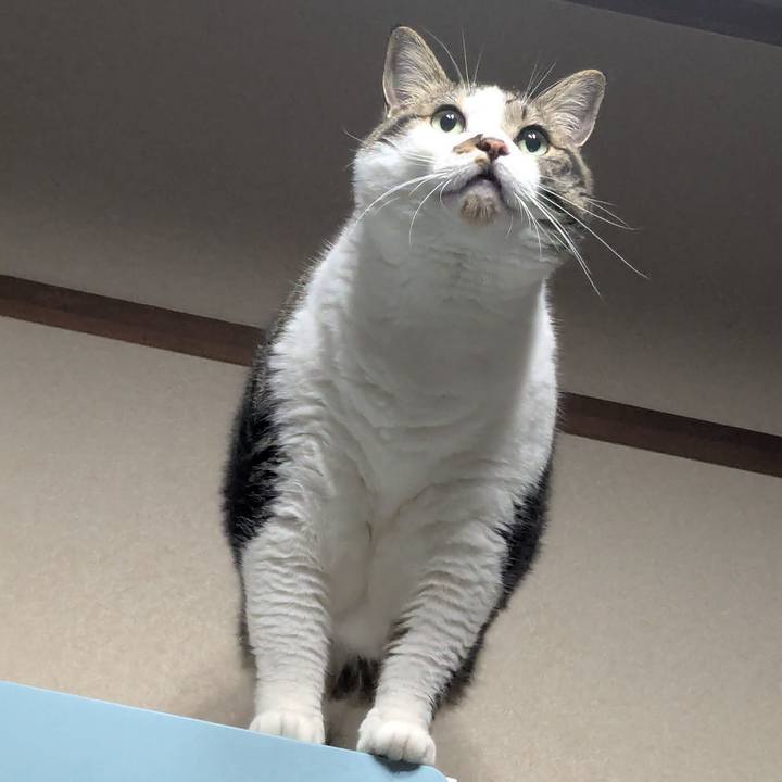 012a1ba8 c933 432a a75b 6bdab5fdfeab 1752064385917