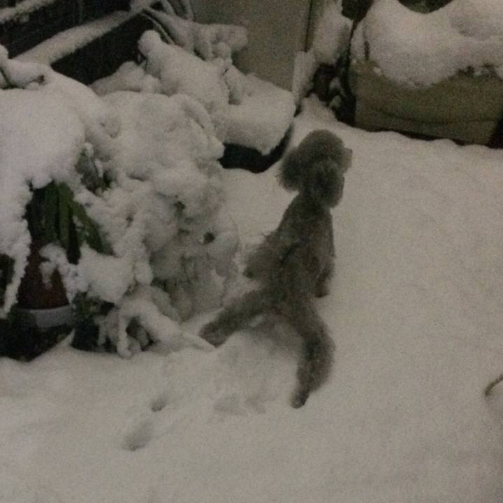 012a8424 7fb4 4e95 b5d5 826b0905d39f 1516612178251