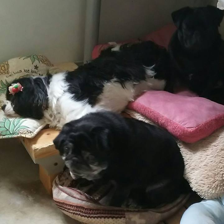 012abe10 5c65 40eb 9255 5ec58d5ed778 1528411557948