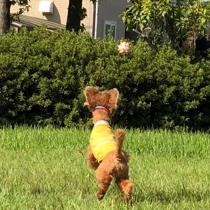 012abe73 63af 4944 87bd cc1ce323f298 1569478993097