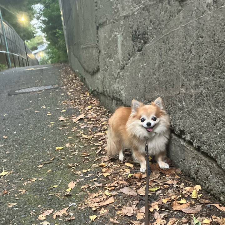 012acdb0 82ed 4ee6 8142 20d901564592 1758462362371