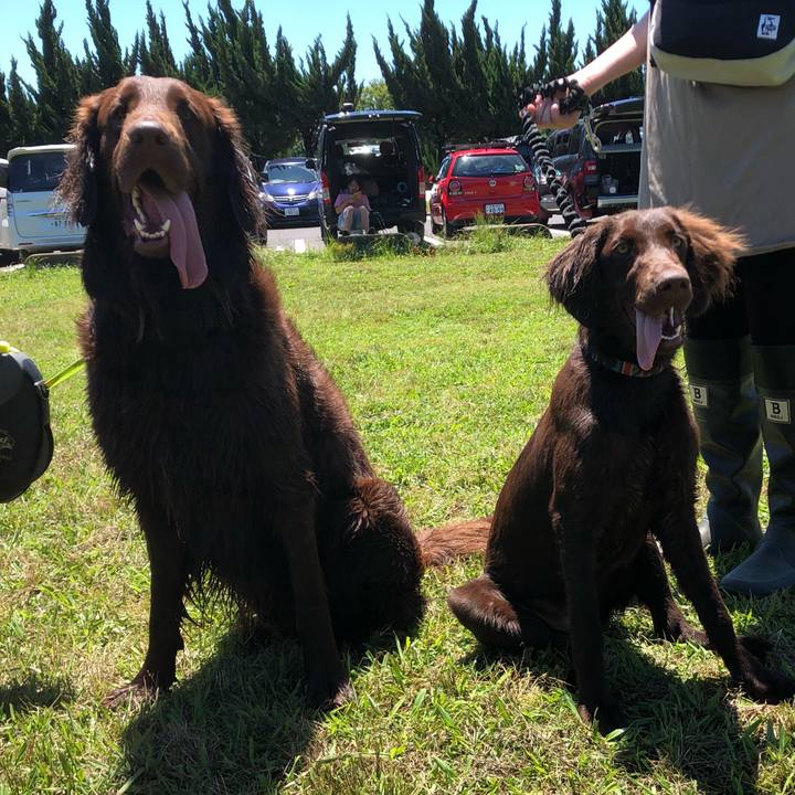 012ae3e4 b0a3 49ee 9475 febedd72900e 1560654419328