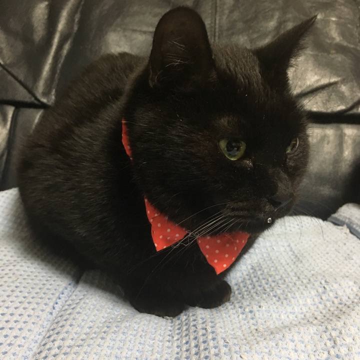 012b0472 f9e6 4260 bc7f 82cc4b922b9e 1545830989810