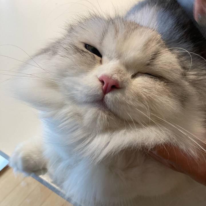 012b1a1c c816 4f4c b17c 3be6a29963ba 1689167419840