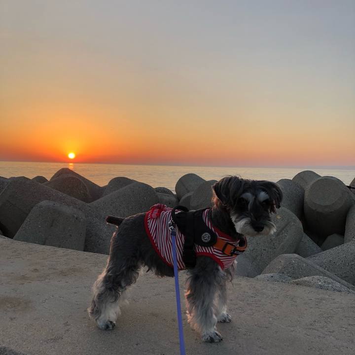 012b1b9e ed84 456e ad21 826922f06357 1699273246864