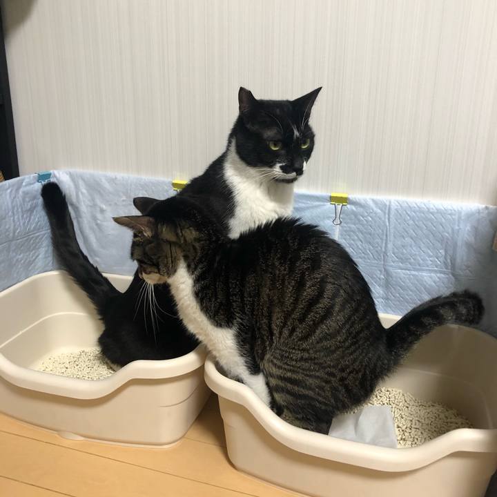 012b584a 79f5 4750 856f d79581670f5e 1580072491126