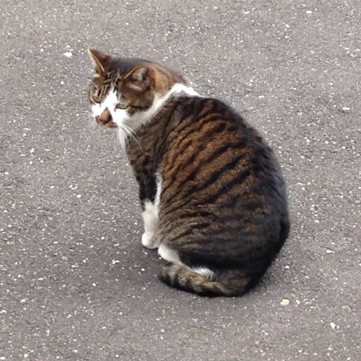 012bd5c9 e979 4fd2 903f fe96db74b2fa 1509439430273