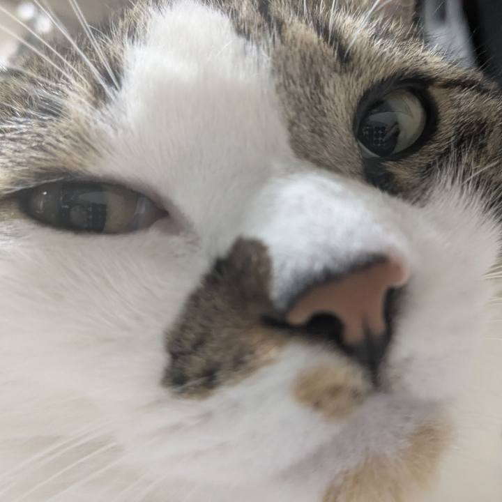 012c01b0 4329 4e4c bbe4 16f6e955516d 1757415210518