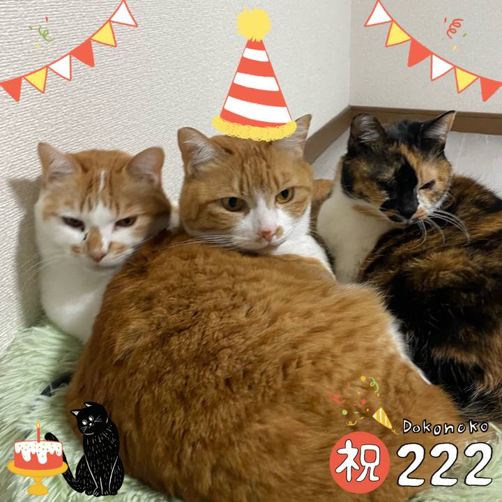 012c1750 983d 4397 be13 25092d38840b 1645534742083