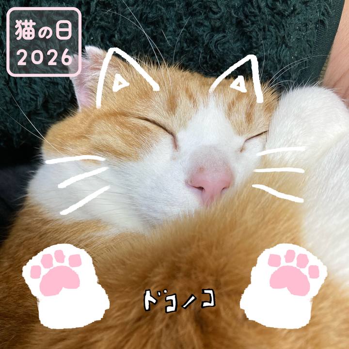 012c266e 2ff7 4883 984c aff8f397b8b3 1771729971515