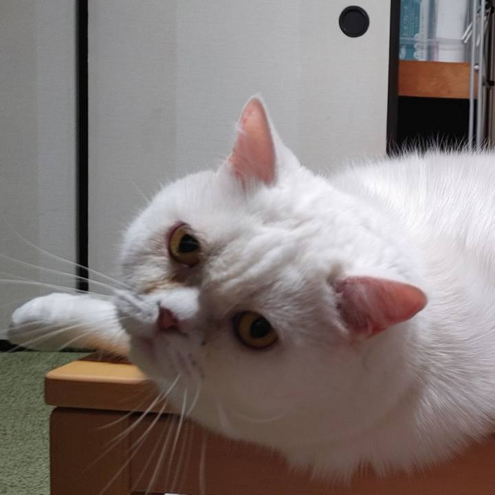 012c5cfb 474a 4a06 814f 7828105fdc7d 1685285046574