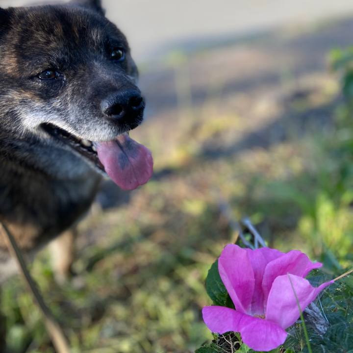 012c8e02 4388 4026 abc0 c430f5665a72 1589446300323