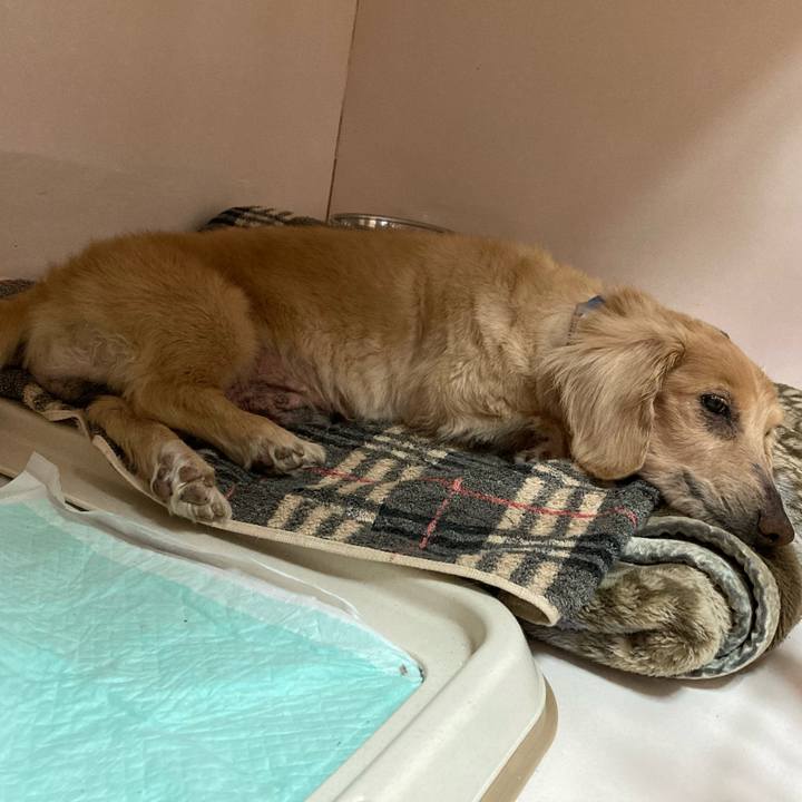 012c9459 c2a8 42a3 88d6 50845d328085 1618218275005