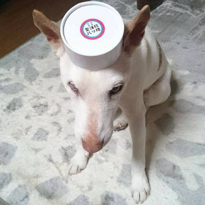 012ca41d 3596 4715 93e0 882f0ac5830e 1622483278431