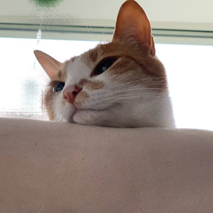 012ca632 4103 4c6a aa58 944f307645c0 1581803655651