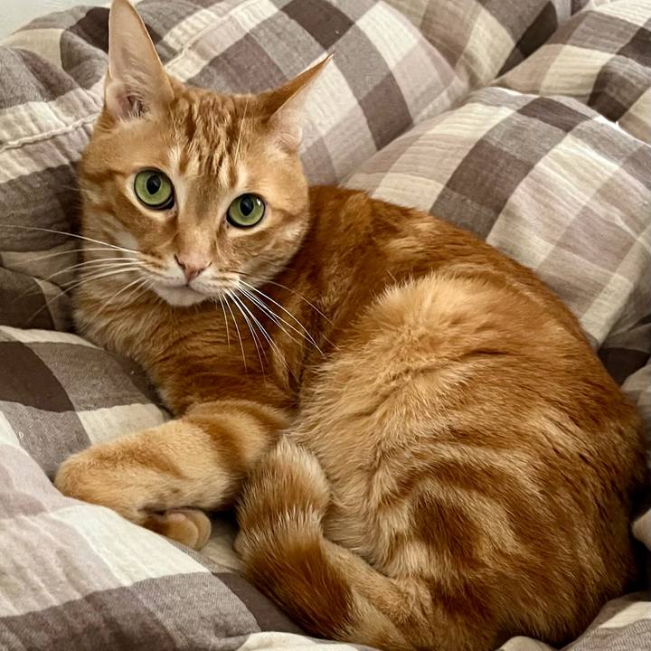 012cadbe 8470 4fa9 b024 04f614c4ef45 1716684524250