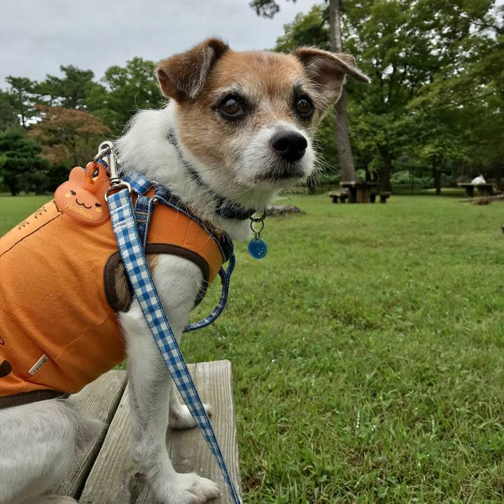 012d348c b6d7 4526 90c0 e83fdcc83ed9 1601178316065