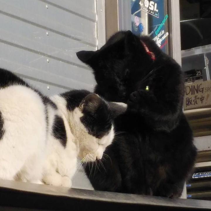 012d3e08 8ba0 4527 8109 ce562ac5459c 1611279122319