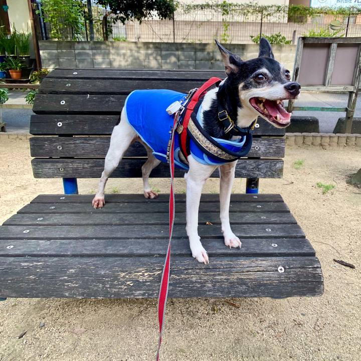 012d962c fa50 4589 bf85 9d1a56d09b3f 1596363845058