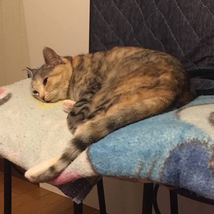 012de28e c535 4a1a 8a3e b95699e04db4 1557758347383