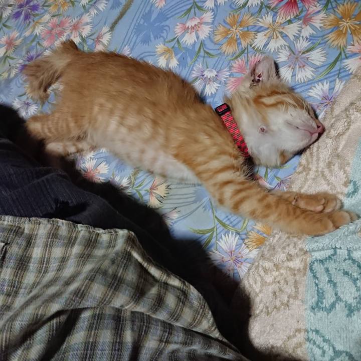 012de362 1256 4a30 9c9c 840a79004444 1627994349939