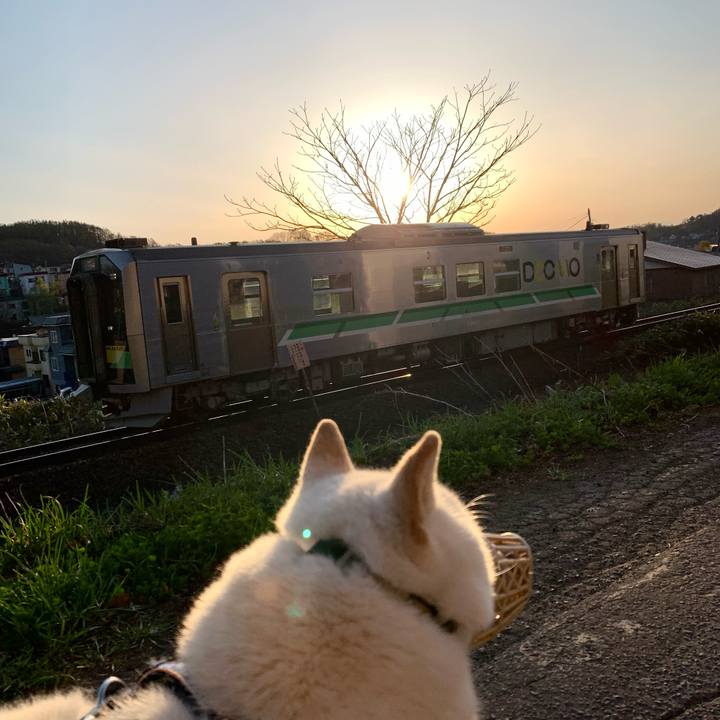 012df9cd 8a10 4952 a29b 5af2ce27f298 1651094168031