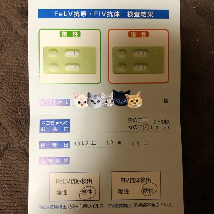 012e0895 da96 4bca b8ab 7430f4ccfdc2 1603976795570