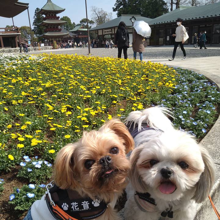 012e2fb5 44bd 44a2 a13e 72cea9ea0907 1616922392647