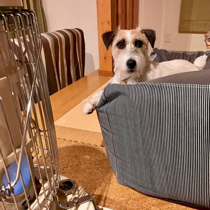 012e6a21 dfd4 4513 bc07 7fd5116e3eef 1647609202875