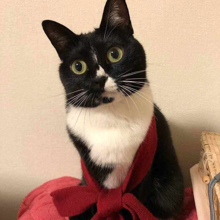 012e7353 01a5 4aec a381 e6af5d9b52e8 1515969683131