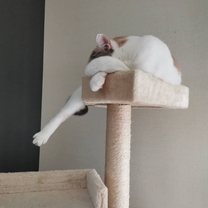 012ebcad d40d 495b a287 0bd62b350dad 1624350419678