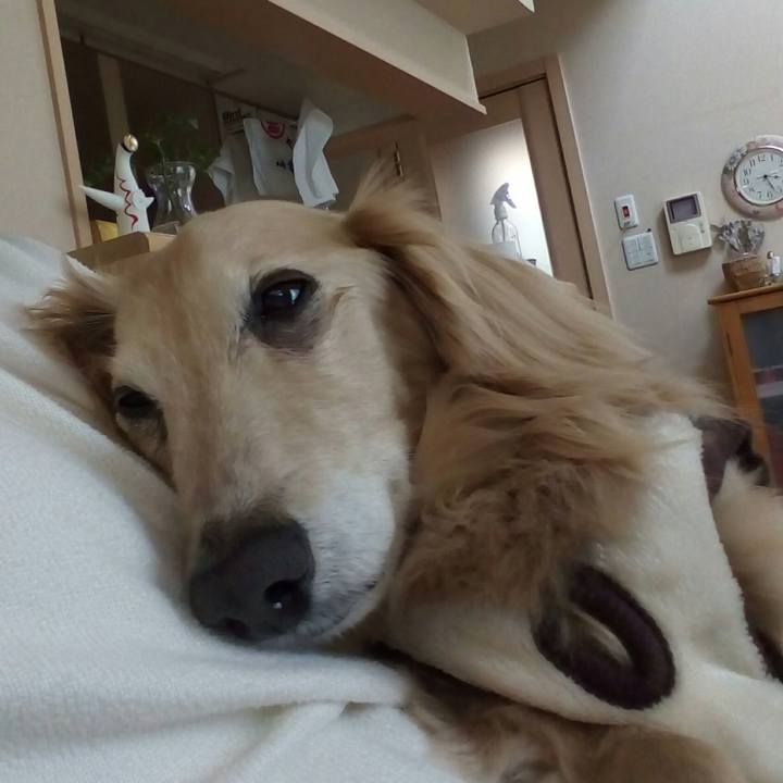 012ebcfb 75eb 4fc7 8620 3c63867d840c 1557471838661