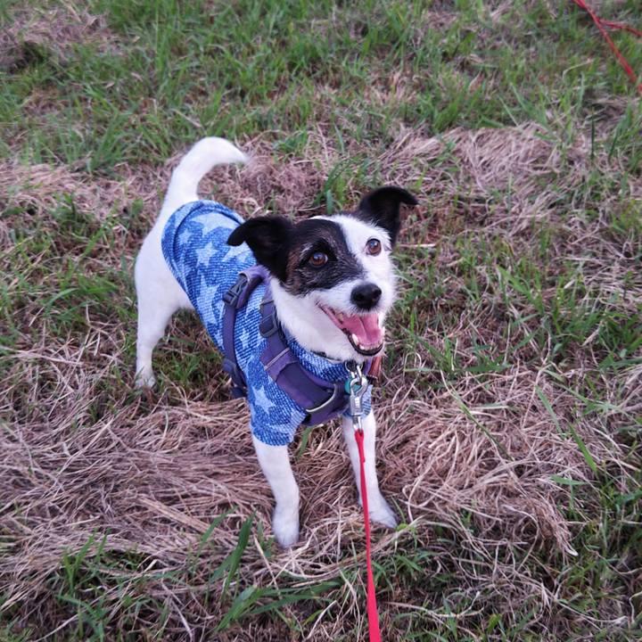 012ebdcb e1f8 4506 ad2b 9f1035daae3b 1757498668320