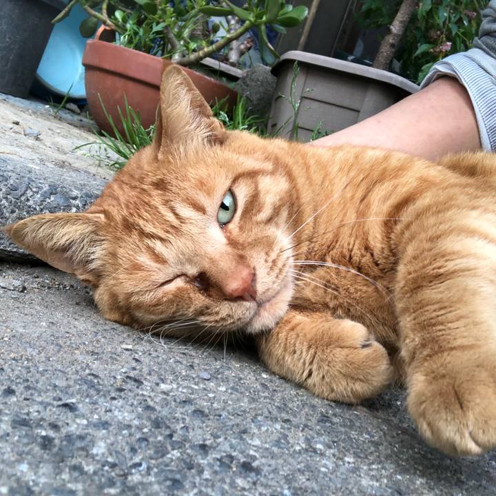 012ee36e 958f 4660 9b0e adfa09bb9283 1523522588323