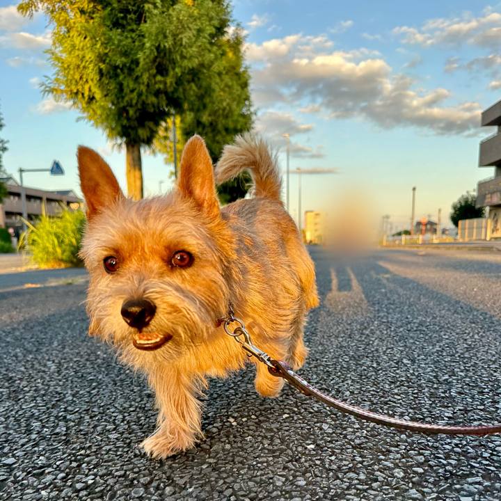 012f19ba a08f 4ff1 82f7 a0cce0656a9a 1728881952201