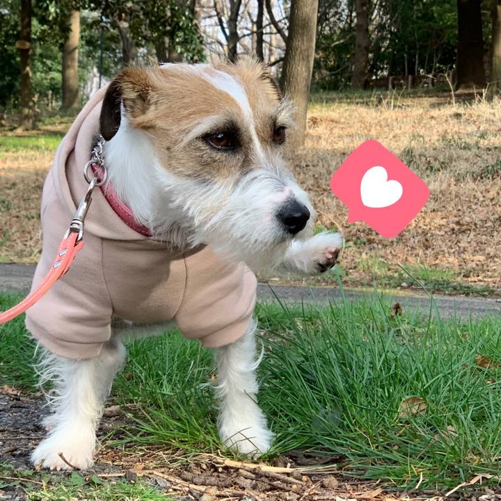 012f6d8f 234f 431a 92ef eae3af2589bf 1615894712228