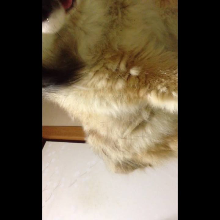 012f7ea1 511a 4537 899b 0bd33ee1332f 1604235453760