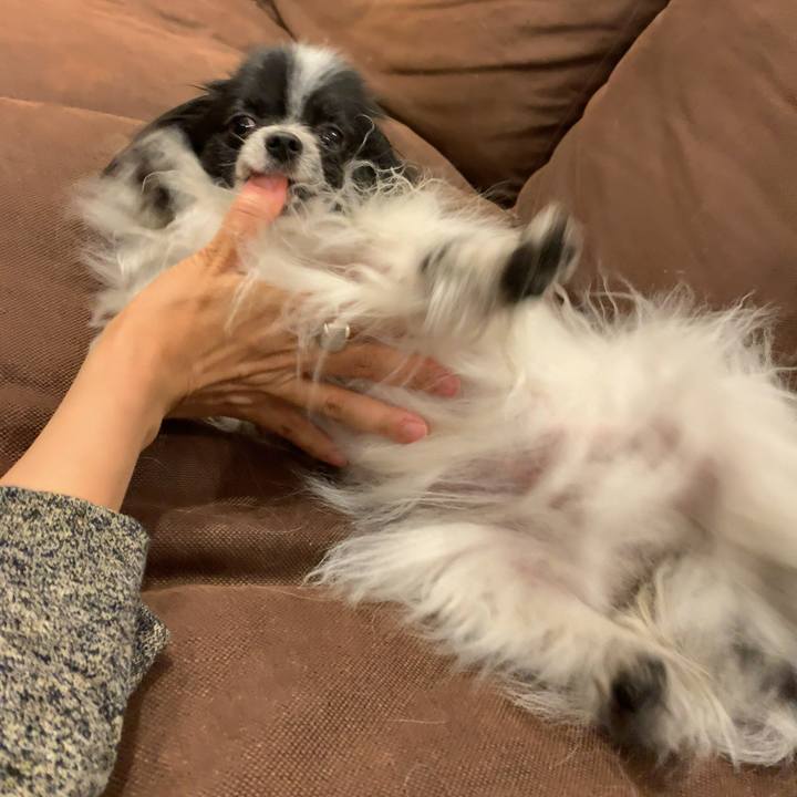 012fa4ed 9f4e 43e9 b5e9 48a2ccefd5d1 1560946609785