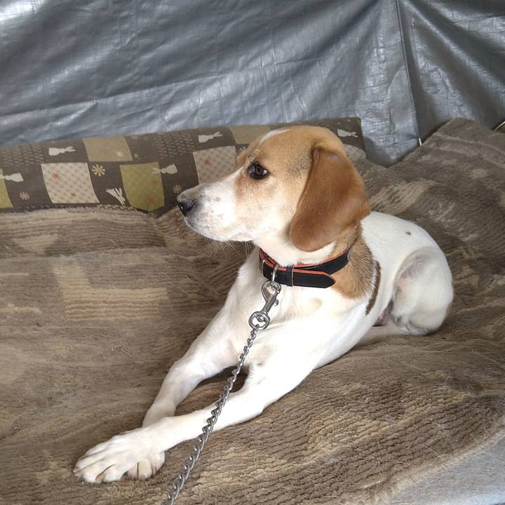 012feef2 b114 4b53 b4a6 4aa7b0fa41eb 1624505631460