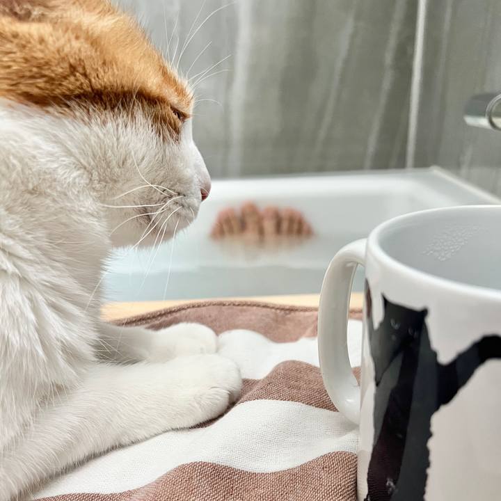 012ff232 75cc 4f67 bb3c a167ce78f0dd 1773020871438