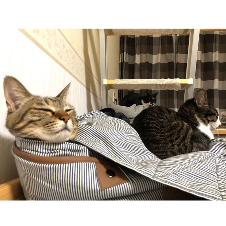 012ffa56 31b2 469d 927c c4d9a07d8d31 1639398745984