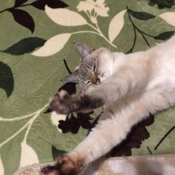 01305f1e 3347 40bb ac8a 88968638a6f8 1583969359838