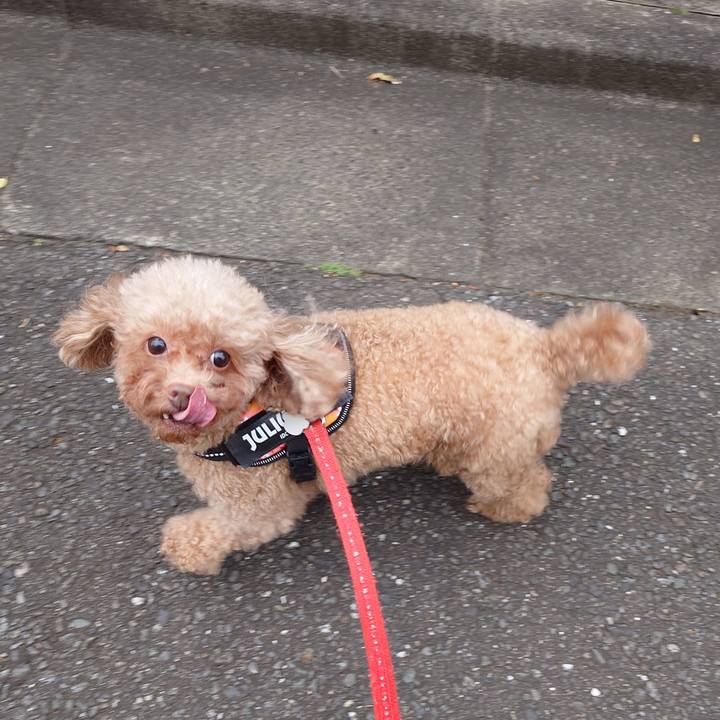 013064ce 52e1 44fc 8ebe 89f67cd4be6c 1731454621778