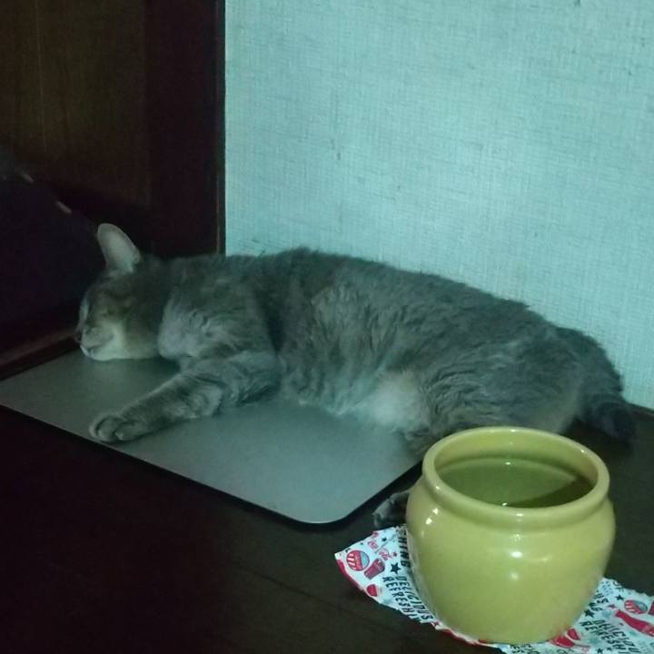 01309f6f 1b33 4ef4 a990 23cedba23922 1691112438867