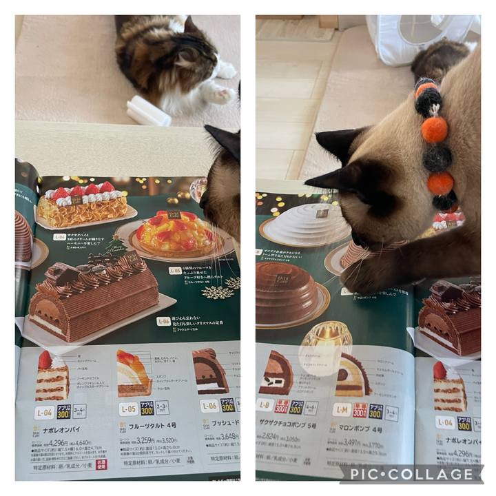 0130dc1d 6ef2 4826 adfe 4a902596c6dc 1728195192457