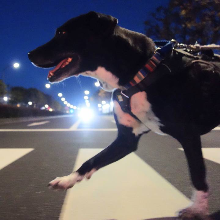 013104db 447c 47f4 963a 43ddeb5fa650 1650106236995