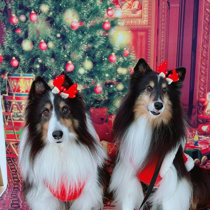 013135c6 6afb 40be 92c8 17d56e8cd02c 1765638127487